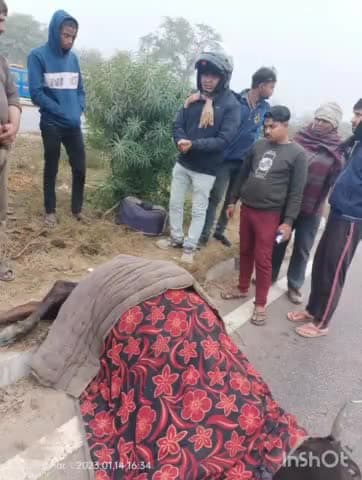 सिकंदरा: महमूदपुर के सामने नेशनल हाईवे पे गाय के एक्सीटेंट के बाद उपचार के पश्चात पहुंचाया गया गोसाला #सिकंदरा #कानपुर देहात