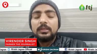 मक्का की खेती में टेस्लीन कार्य शुरू, जानिए क्यों खेतों लगाई जाती है टेस्लीन
#maize #seeds #Farming