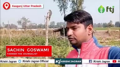 सब्ज़ियों की खेती के लिए Best है Intercropping Method, यहां जानें सरल विधि
#intercropping #agriculture #farmers