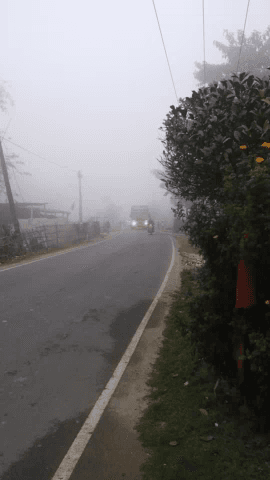 ठाकुरगंज: Kishanganj taiabpur #February me v kohre ka prakop dekha ja raha hai