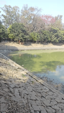 आरा: ara veer kuwar singh park
#park #ara #nitishkumar