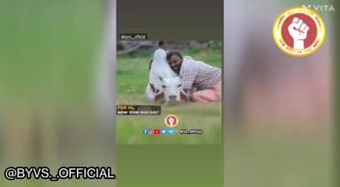 भारतीय युवा विद्यार्थी संगठन (BYVS) ने मनाया #cowhugday अर्थात गौ आलिंगन दिवस, युवाओं ने बढ़ चढ़कर लिया हिस्सा #byvs