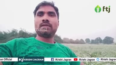 धनिया की खेती : ये किस्में देगी ज्यादा उत्पादन
#CorianderLeaves #dhaniyakikheti