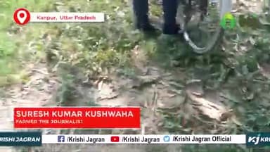 बीजों की सही जानकारी के लिए किसानों को मिल रहा प्रशिक्षण
#krishijagran #seeds #agriulture