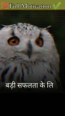 Risk motivational short speech in Hindi #short #public #allindiafriend