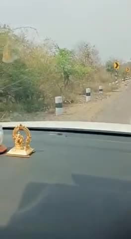 बाघेर घाटी में फिर दिखा तेंदुआ 
#Tigers #Safetiger #safe #वर्तमानझालावाड
वर्तमान राजस्थान  वर्तमान झालावाड़  #मुकंदरा