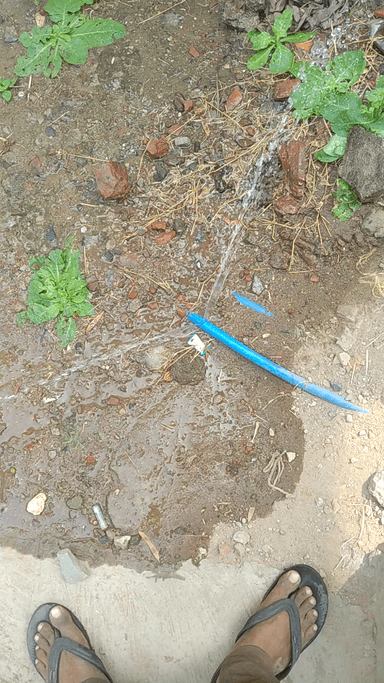 #बिक्रम के #Danarakatari पंचायत के वार्ड 12-13 में #naljalyojna में #pipeleakage है, जल्द से जल्द मरम्मत की जाए #news