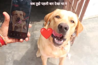 #jojo #pet #lovevideo #komal #grampradhan