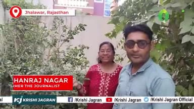 तीखा और स्वादिष्ट है मिर्ची का ये किस्म, दार्जिलिंग से मंगवाया था बीज 
#chillifarming #agriculture #chilli #farmers