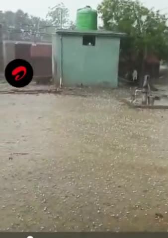प्रयागराज मे कुदरत का कहर जारी,पचदेवरा के पास जोरदार बारिश के साथ ओले पड़े।
#prayagrajcity #prayagrajnews #प्रयागरा