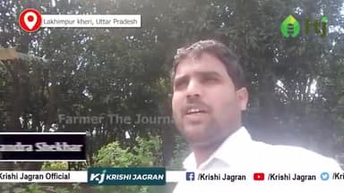 Aam Ki Kheti : आम की खेती कर हर दिन कमा सकते है हज़ारों
#mangofarming #agriculture #aamkikheti #farmersbenefits