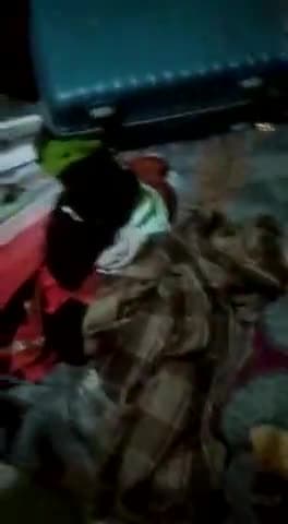 खेरागढ़: रिटायर्ड अध्यापक और दूधिया के घर में चोरी चोरों का अभी कोई पता नहीं#news #news_express #newsalerts