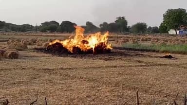 #सजेती थाना क्षेत्र के #बीबीपुर गांव में खेत में पड़े गेहूं के बंडलों में संदिग्ध परिस्थितियों में लगी आग*