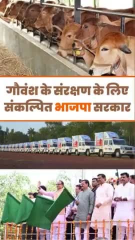 गौवंश के संरक्षण के लिए संकल्पित भाजपा सरकार।
#madhyapradesh #reelsindia #ShivrajSinghChouhan #bjp4india #gaumata #gauraksha #bjp4mp