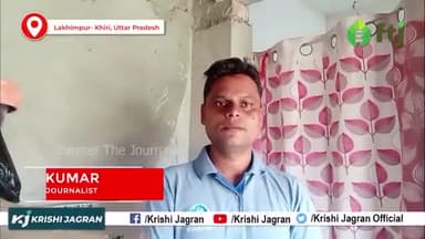 जाने किस तरीके से केले में लगने वाले कीटों का बचाव किया जाता है
#agriculturelife #agricultue #farmers #farming