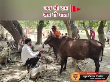 #जय_बजरंगबली 🚩
फिक्र करना ही क्यों ?
फिक्र से होता हैं क्या?
भरोसा रखो “बजरंग” पर फिर देखो होता हैं क्या ❤️
(सोमनाथ धाम प्रांगण)