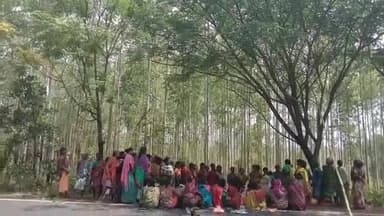 ଟିକିରି: ଶଙ୍କରଡା ନିକଟରେ ବୁଲ ଟେଙ୍କର ବାଇକକୁ ଧକ୍କା ଦେବା ଫଳରେ ଘଟଣାସ୍ଥଳରେ 2 ମୃତ୍ୟୁ, ପରିବାର ଲୋକେ କ୍ଷତିପୂରଣ ଦାବିରେ ରାସ୍ତା ଅବରୋଧ