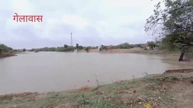 रोहट: गेलावास रात में हुई फुल बारिश
और आसपास जगाओ में पानी पानी
#pali_rohat #newsupdate#news24official