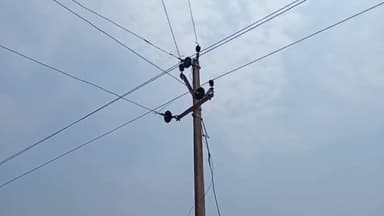 Narayanpur News Current लगने से गाय का बच्चा की मौत| 11k power Bijli pool में करंट
#narayanpurnews