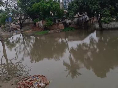 सिमरी बख्तियारपुर: सिमरी बख्तियारपुर प्रखंड के पहाड़पुर गांव नया टोला वार्ड नंबर 4 का है ये हाल !
#simribakhtiyarpur #paharpur #saharsa