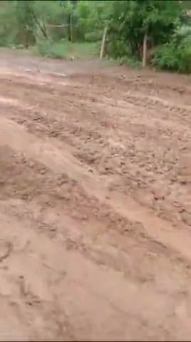 कटनी नगर: बारिश से दल दल बना पिपरौन्ध पहाड़ी मार्ग
#jarwahi