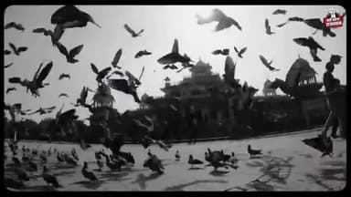 चरम पे है अपमान, नहीं सहेगा राजस्थान।
#NahiSahegaRajasthan