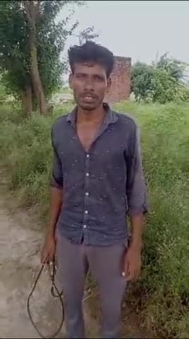 #Badaun उसावां थाना #क्षेत्र में खेत मे लगे #करंट से #भैंस की #मौत, पीड़ित ने #थाने में दी #तहरीर