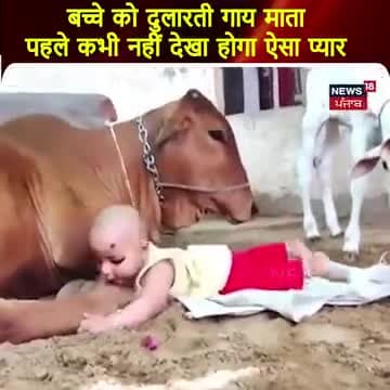 प्रकृति के साथ छेड़छाड़ , बडे़ बुजुर्गों की अवज्ञा , गुरु का संतों का अपराध , #गो अपराध ये सब #शिव अपराध ही हैं ।
#श्रावणमास गो रक्षा हिंदू दल राजस्थान
#गौमाता
#गौमाता_राष्ट्रमाता