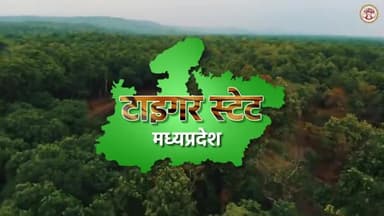 हम हैं... "टाइगर स्टेट"
#TigerStateMP #MadhyaPradesh
