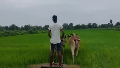 #जय_जवान #जय_किसान
#छत्तीसगढ़