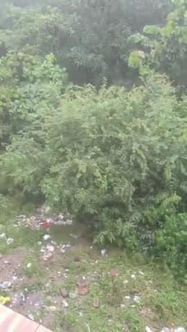 देहरादून के मसूरी में हो रही है मूसलाधार बारिश#dehradoon