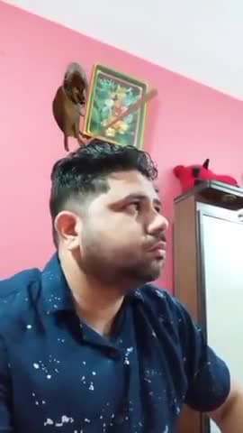 #viral_videos #viral #trending