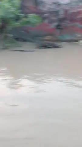 बिजनौर: Raipur khadar mein Pani ka pata jyada badhta ja raha hai na khane ke vyavastha Kamini#सिनेमा