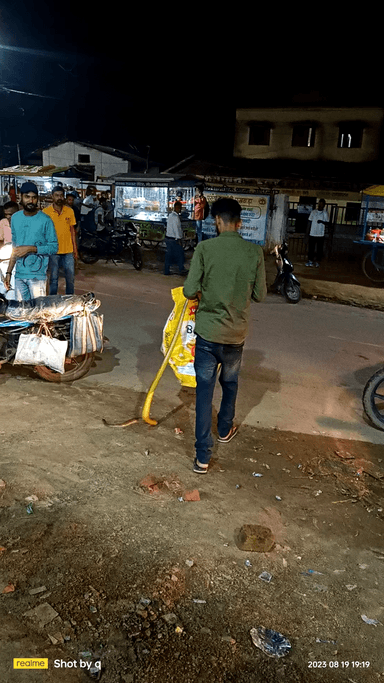 अंबिकापुर: sanke man satyam 
#godhan pur apur may jahrilasap nikal jisse logo may machi hadkam