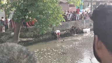 #सैदपुर_नहर_मौत_का_नाला कल रात डूबे हुए इन्सान की आज सवेरे 8बजे मृत शरीर को निकाला गया।
पोस्टमार्टम के लिए एनएमसीएच अस्पताल भेजा गया।
बेहद दुःखद घटना।
मरने वाला इन्सान के तीन छोटे छोटे बच्चें है।
ठेला चला कर अपनी गुजर बसर करता था।