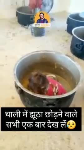 थाली में झूठा छोड़ने वाले
सभी एक बार देख लें😥
#सुधीरा #sudhiraa