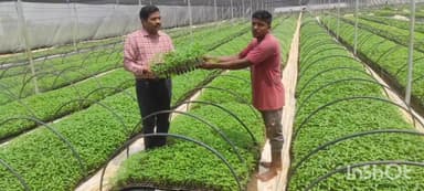 సుజాతనగర్: సుజాతనగర్ తో పాటుపలు మండలాల లో వ్యవసాయ క్షేత్రాలను పరిశీలించి రైతులకు పలుసూచనలు చేసిన జిల్లా ఉద్యానవనశాఖ అధికారి మరియన్న