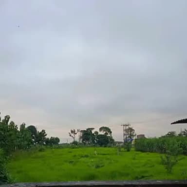#eastchamparan#vishunpurmatiarwa#rain#shortsvedio