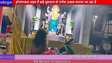 नर्मदापुरम :होशंगाबाद शहर में बड़े धूमधाम से गणेश उत्सव मनाया जा रहा है#ganeshji
#hoshanhgabad.news
#ganeshpooja #murti