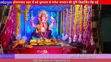 होशंगाबाद शहर : अनंत चतुर्दशी के अवसर पर भगवान गणेश की प्रतिमाएं विसर्जित की गई
#anantchaturdashi #ganesh
#visarjan