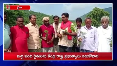సింగరేణి: వైరస్, గుబ్బ రోగంతో దెబ్బతిన్న మిర్చి పంట రైతులను ఆదుకోవాలని కారేపల్లి మండల కేంద్రంలో పర్యటించిన సిపిఎం బృందం