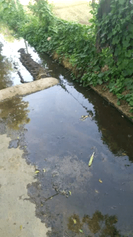 मुरैना: mungawali santa mai naliya road par chal rhi hai our Pani ka nikash nhi hai
#collectormorena #aajatak