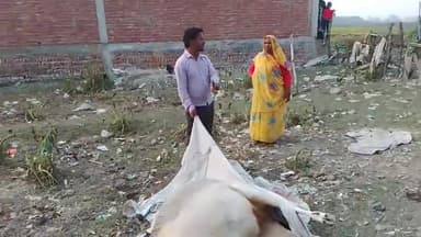 ye gay koi koi le ke nahi ja raha h koi is gay ko udane ke liye pesi mag rahe h sar #luckknow @lalitnagar12880
