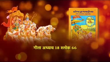 @up38news @gitakumarigitakumari98 #gita@vvmeccau87