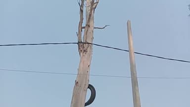 उर्जा निगम को चूना लगाकर इन्सयूलैटर बेचकर हजम कर गए एक्सईएन ब्रह्मपाल सिह की कार्यशैली पर उठे सवाल पीपी सिह मौन #pvvnl