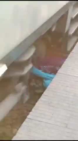 पटना में मां और 2 बच्चे रेलवे पटरी पर गिरे, पूरी रफ्तार से गुजरी ट्रेन लेकिन बच गई तीनों की जान!
#पटना #रेलवेस्टेशन