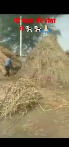 मलारनाडूंगर: गौ सेवा🐄🐄
_______
" सैनी नवयुवक मंडल खिरनी के द्वारा गायों की चारा व पानी की व्यवस्था की गई है 3/1/2024 #shorts_