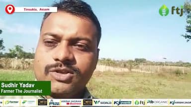 Touch me not plant: छुईमुई का पौधा किसानों के लिए फायदेमंद या नुकसानदायक
#touchmenot #plants #agricluture #farming