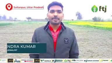 चने में Nipping Process करने का तरीका और इसके फायदे
#agriculturesector #farming #farmers #agricluture #agriculturelaw