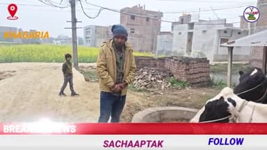 खगड़िया: जय श्री राम , जय श्री कृष्ण गो माता ने एक बछरें को जन्म दिये हैं । #gomata #jaishreekrishna #jaishreeram #boltakhag